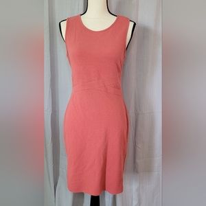 Anthropologie Saturday Sunday pink sheath dress Size small